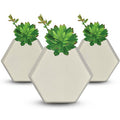 Kit 3 Vaso Colmeia Em Cerâmica De Parede Moderno 16,5x8cm