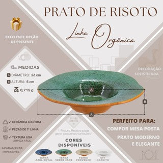 PRATO RISOTO/MASSA  cerâmica orgânico  restaurante varias cores lançamento louça pintura moderna