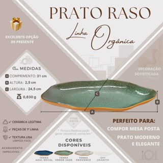 Jogo  4 unidades PRATO RASO orgânico raso exclusivo cozinha louça varias cores 31 cm